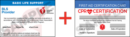Sample American Heart Association AHA BLS CPR Card Certificaiton and First Aid Certification Card from CPR Certification Tulsa