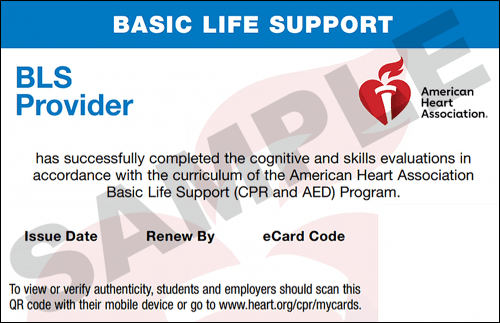 Sample American Heart Association AHA BLS CPR Card Certification from CPR Certification Tulsa