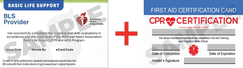 Sample American Heart Association AHA BLS CPR Card Certification and First Aid Certification Card from CPR Certification Tulsa