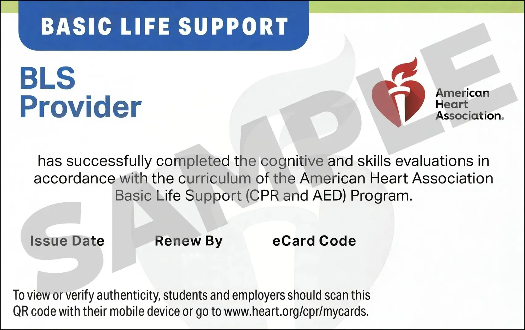 Sample American Heart Association AHA BLS CPR Card Certification from CPR Certification Tulsa